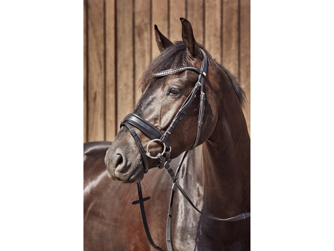 2 Argolas de Cavalo de Corrida HORSEGUARD