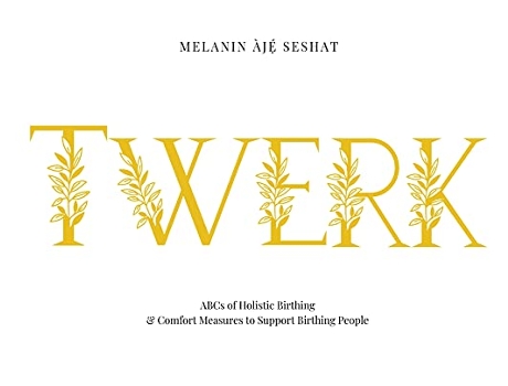 Livro Twerk ABCs of Holistic Birthing and Comfort Measures to Support Birthing People de Melanin Àjé Seshat (Inglês)