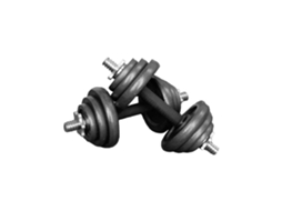 Set Halteres 20kg