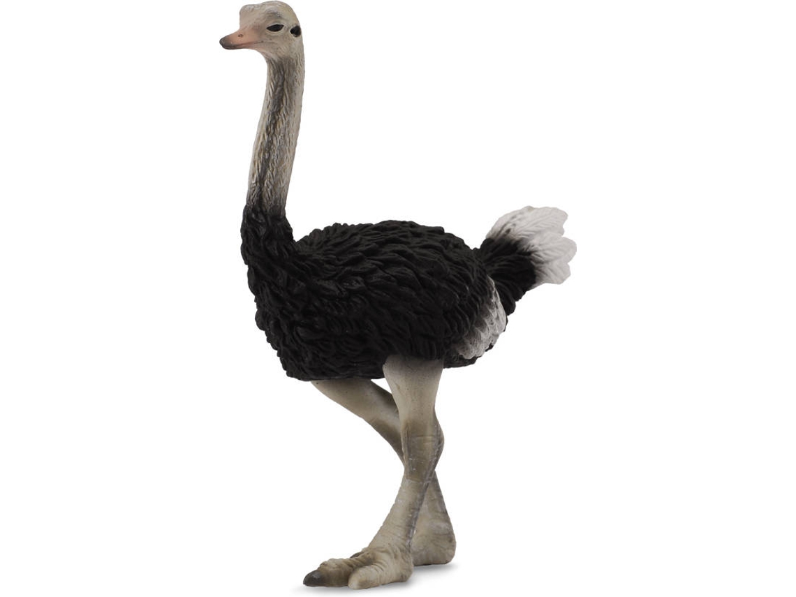 Figura COLLECTA Avestruz