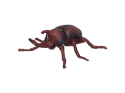 Primerox modelo de Besouro Realista Brinquedo Plástico Figura Educativa para Crianças
