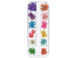 Sticker De Unha Com Flores Secas Para Arte Diy