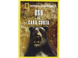 DVD Oso De Cara Corta (Edição em Espanhol)