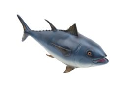 Mali modelo de Peixe Marinho Lifelike Educativo Vinil Brinquedo Crianças Presente Coleção