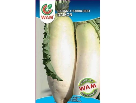Sementes  Rabanete forrageiro
