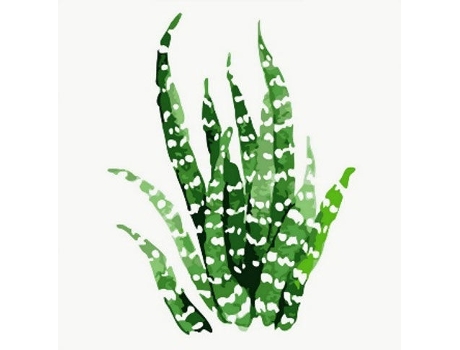 Pintar com Números FIGURED'ART com Moldura 20X20Cm Aloe Vera Sfa073-Y