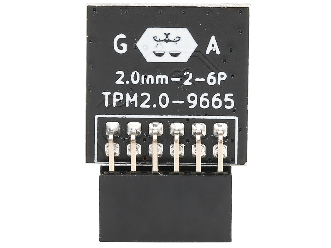 Segurança Tpm 2.0 LAXISCREED 12pin