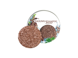 Shampoo Eelhoe Polygonum Multiflorum Oleo Essencial