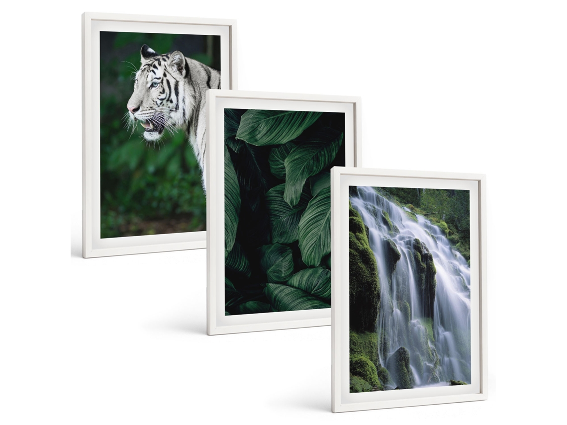 Conjunto De Pinturas Folhas De Tigre Branco Em Cachoeira Moldura Branca Fotos Para O Escritório Espelharte (3 Piezas De 40x60 Cm)