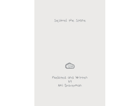 Livro Squirrel the Stone A handbook for the creative mind. de Ami Braverman (Inglês)