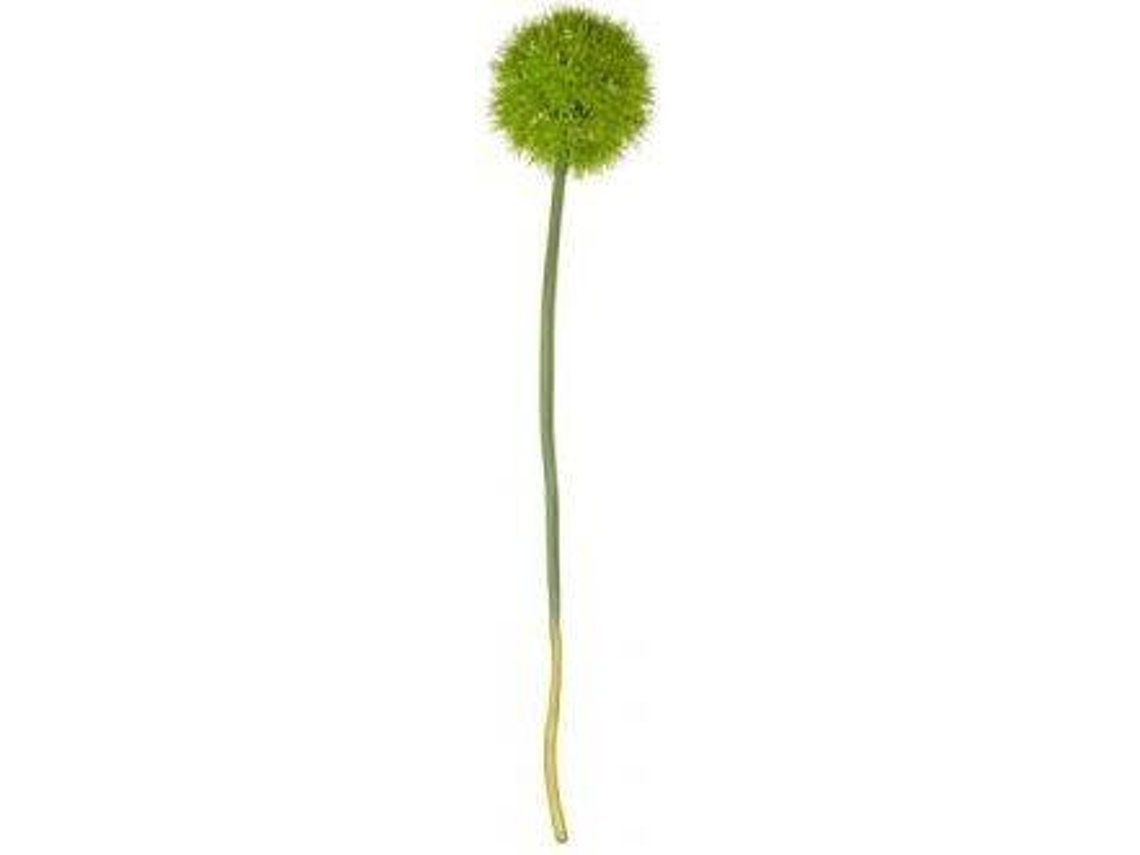 Haste de Allium XL ASA Deko 66624444