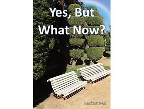 Livro Yes, But What Now? De David Kevill (inglês)