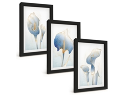 Conjunto De Pinturas Flores Azuis Ao Fundo Moldura Preta Quadros Para A Sala De Estar Espelharte (3 Peças 20x30 Cm)