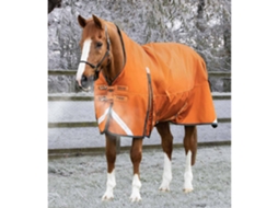 Manta para Cavalos Ao Ar Livre Buster Hardy 400 G PREMIER EQUINE
