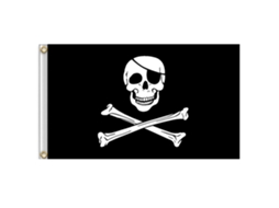 Bandeira Pirata Com Esqueleto Decor Para Festa Halloween
