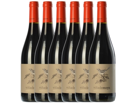 Vinho LUZDIVINA AMIGO Luzdivina Amigo Viña De Moya Mencía Bierzo Roble (0.75 L - 6 unidades)