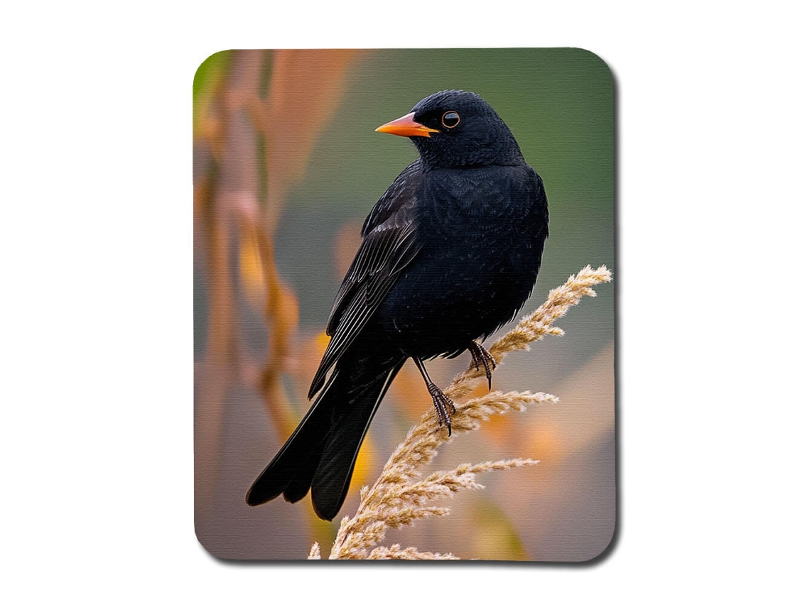 Mouse Pad Com Pássaro Preto