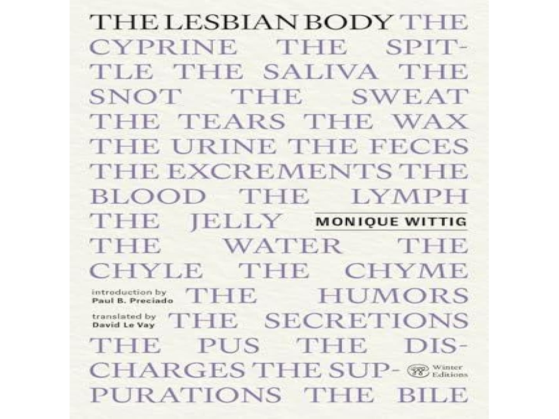 Livro Lesbian Body de Monique Wittig (Inglês)