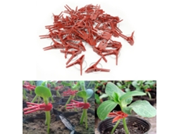 100pcs Grampos de Enxertia Plásticos Práticos para Plantas Jardim Ferramentas Seguras