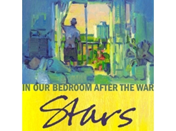 Vinil Stars - In Our Bedroom After The War