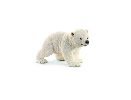 Figura  Cria de Urso Polar a Caminhar
