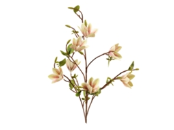 Laxiscreed Ramos De Magnólia 7 Cabeças Verdes, 100cm Com Fio De Ferro Para Arranjos Florais