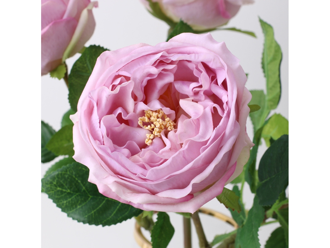 Austin Rose (toque Que Retém A Umidade, Branco) Eoocoo