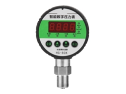 Manômetro Digital De Pressão Hidráulica 220v Aço Inoxidável 0-1.6mpa Conector M20*1.5