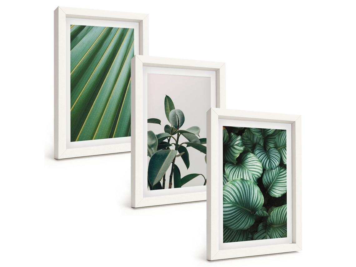 Composição De Quadros Folhas Tropicais Estéticas Espelharte (3 Peças 20x30 Cm)