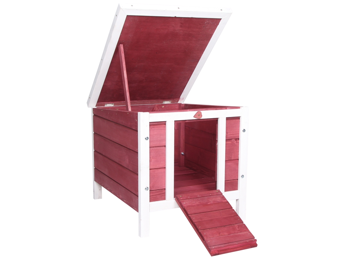 Coelheira Madeira Roedores Pequenos Teto Rampa Antiderrapante Vermelho