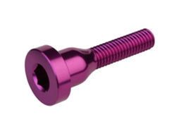 Burgtec Top Cap Bolt