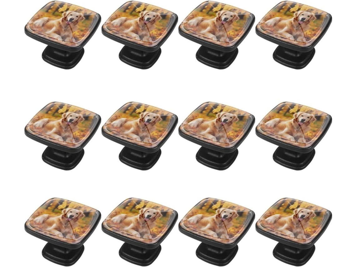 Puxadores Quadrados Para Armários De Cozinha, Puxadores Para Armários E Gavetas, 12 Peças, Folhas De Golden Retriever No