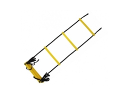 Lurelia Escada Carta Sport Agility 4m Preto/amarelo