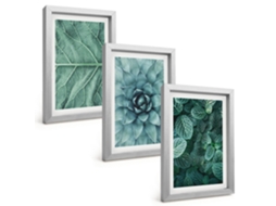 Composição De Quadrosclose-ups De Plantas E Folhas Moldura Prateada Imagens Para Um Quarto Infantil Espelharte (3 Peças 20x30 Cm)
