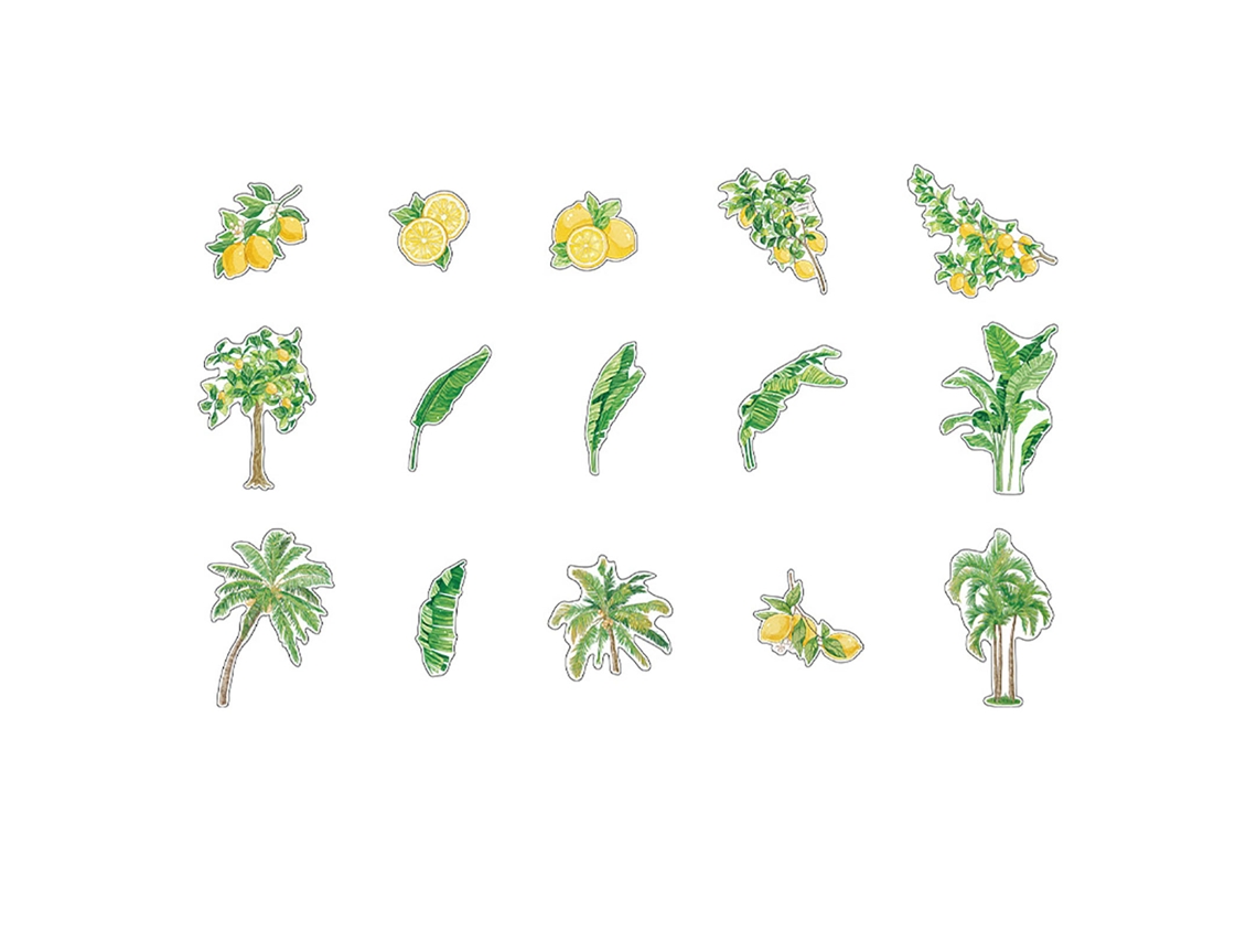 15pcs Adesivos Florais Pet Exquisitos para Scrapbook Notebook Diy | S/MARCA
