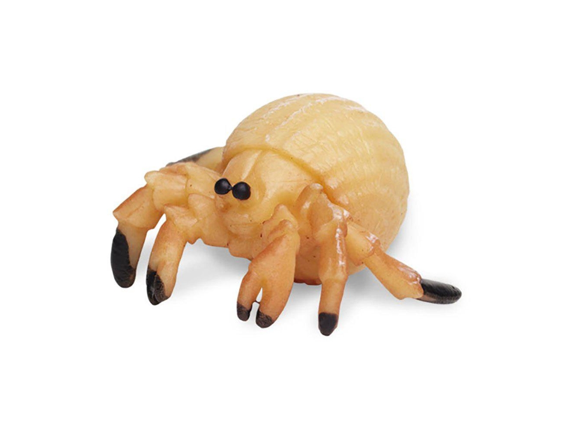 SAFARI Hermit Crabs Good Luck Minis