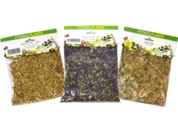 Suplemento Alimentar YNSADIET (70 Gr - Jengibre)
