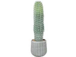 Cacto Artificial 66 Cm (planta Decorativa com Vaso, Verde)