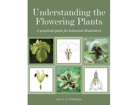 Livro understanding the flowering plants de anne bebbington (inglês)