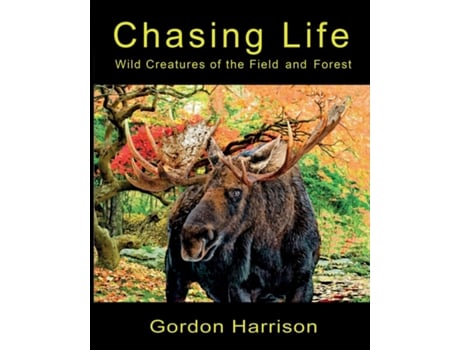 Livro Chasing Life Wild Creatures of the Field and Forest de Gordon Harrison (Inglês)