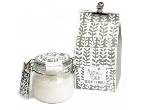 Vela em Frasco de Vidro Sal e Musgo Do Mar 11X11X20 Cm