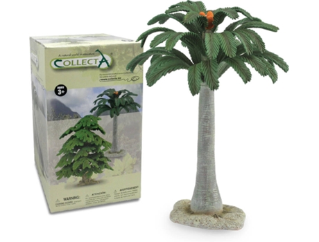 Figura  Cycad Árvore