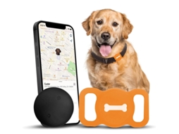 Rastreador CZHHMART para Animais de Estimação com Função Encontrar Branco (apenas para Ios)