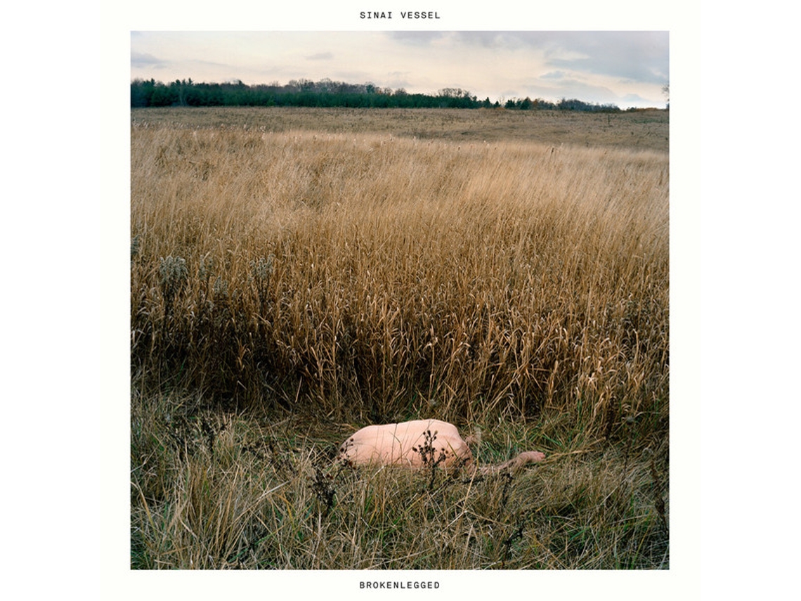 CD Sinai Vessel - Brokenlegged