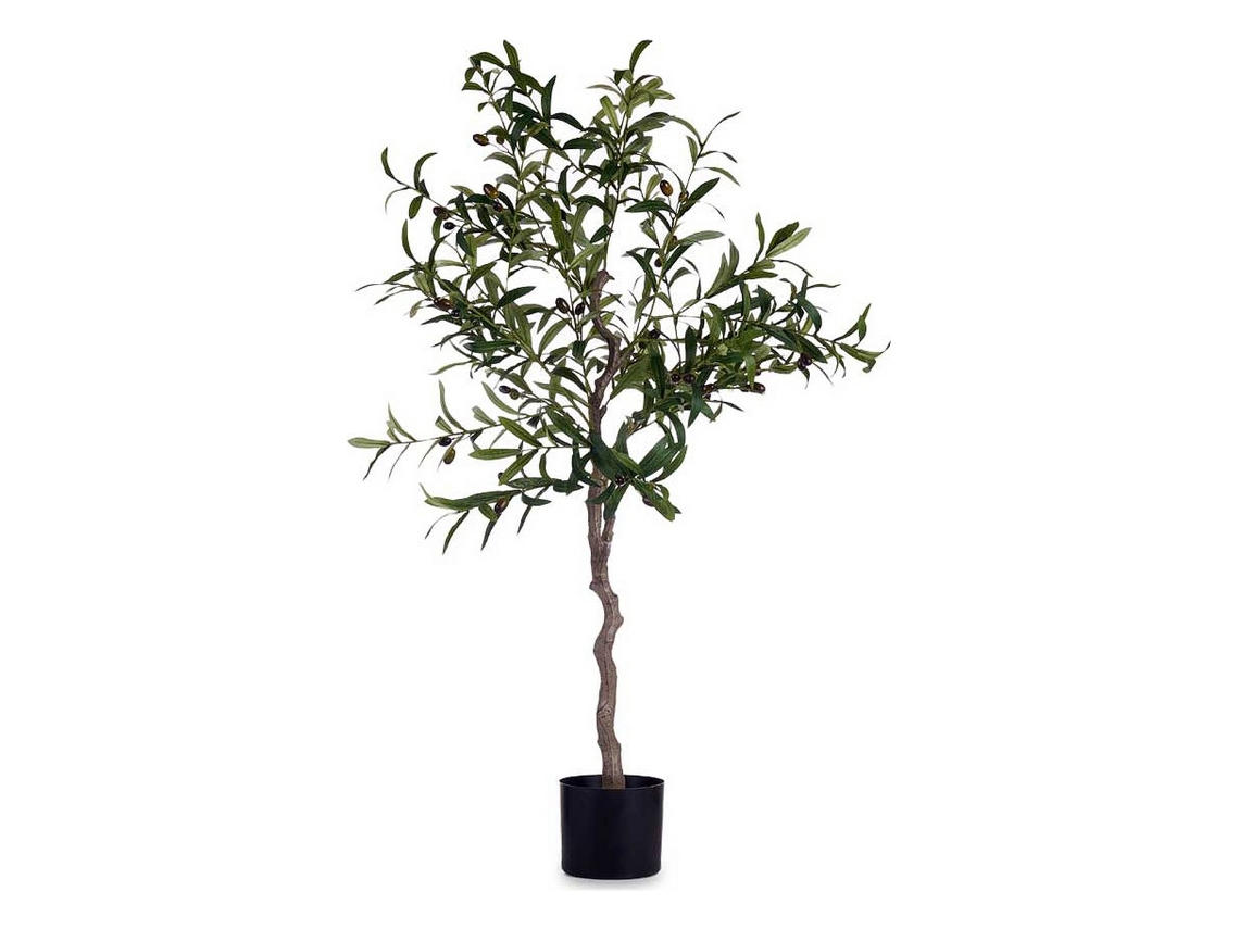 Planta Decorativa IBERGARDEN (Multicor)