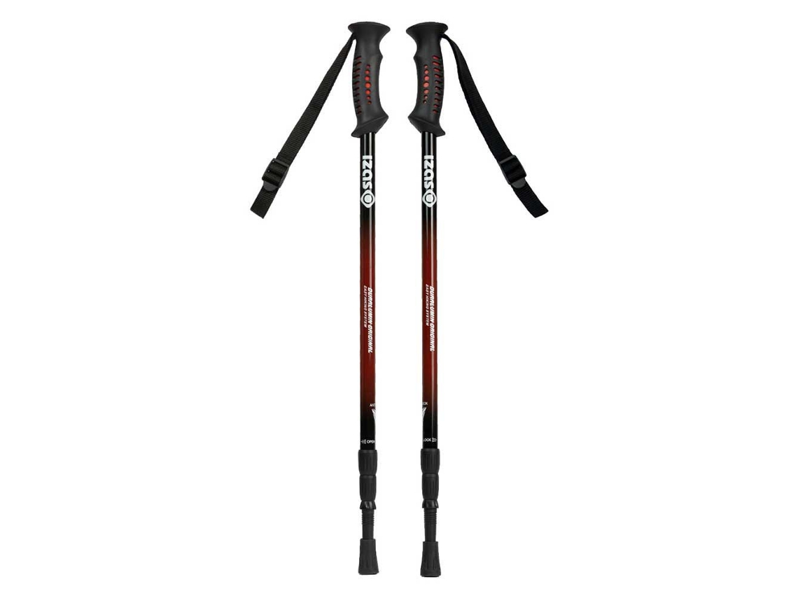 Pólos Bernues Castanho 65-135 Cmizas