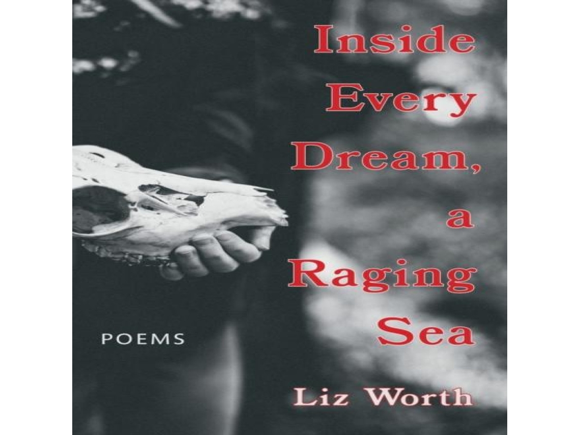 Livro Inside Every Dream a Raging Sea de Liz Worth (Inglês)