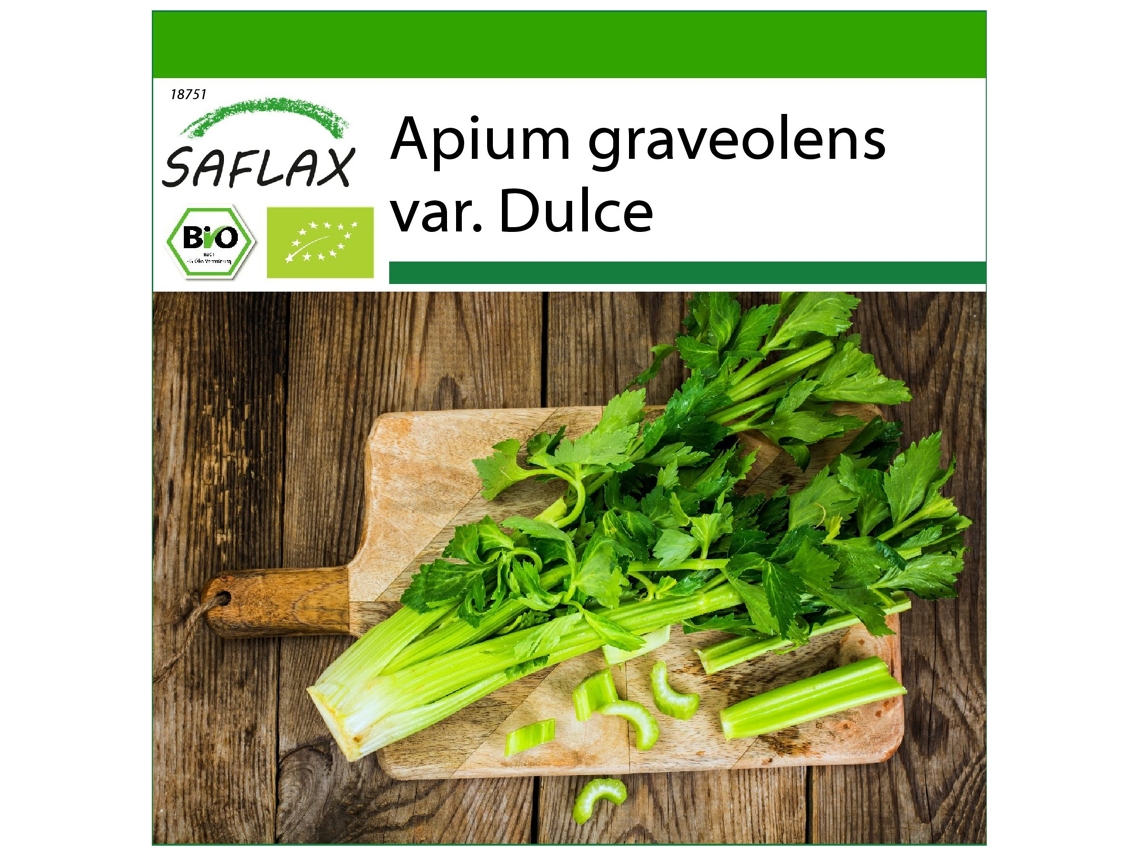 SAFLAX Orgânico Aipo Alto Utah Apium Graveolens Var. Dulce 500 Sementes com Substrato de Cultivo Livre de Germes
