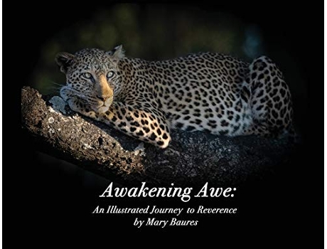 Livro Awakening Awe An Illustrated Journey to Reverence de Mary Baures (Inglês)