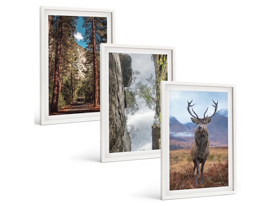 Galeria De Pinturas Murais Estrada, Floresta, Montanhas, Veado, Natureza Moldura Branca Pinturas De Quarto Espelharte (3 Piezas De 40x60 Cm)
